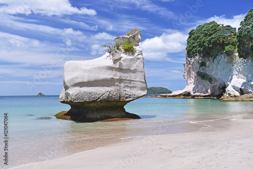 Cathedral Cove beach on Coromandel Peninsula, North Island of New Zealand. photo