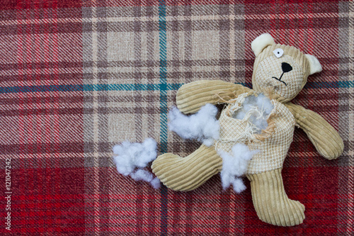 A sad, abandoned teddy bear with stuffing and filling falling from his ripped and torn, damaged tummy and lying on his back on a seamstresses table waiting to be repaired.