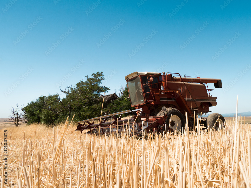 Obraz premium Red harvester idling in straw field after work is done