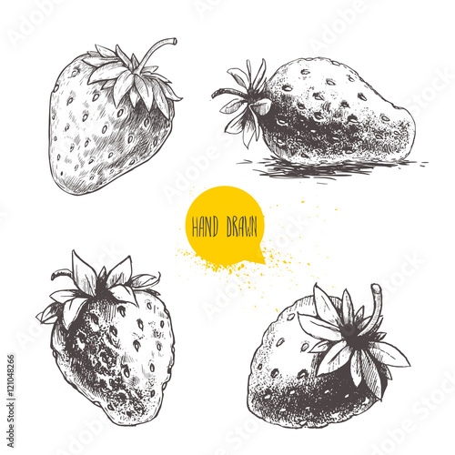 Set of hand drawn strawberries isolated on white background. Retro sketch style vector eco food illustration