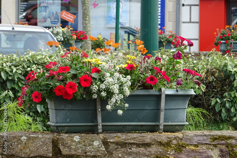 Fototapeta premium jardinière en ville