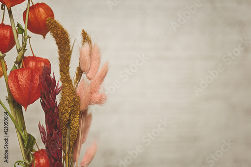 Fototapeta samoprzylepna piękny bukiet suszonych kwiatów. Szary streszczenie tło. przetwarzanie vintage, wolne miejsce na tekst lub obraz