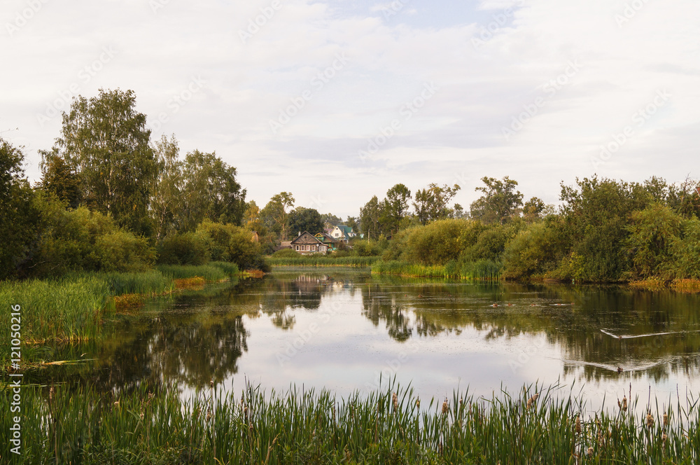 landscape of a calm pound with green forest around landscape of a calm pound with green forest around