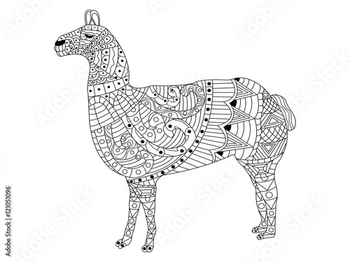 lama Coloring vector for adults