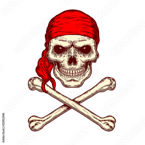 Vector illustration of a skull and crossbones