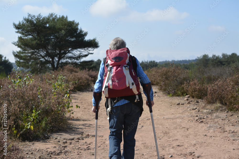 eine seniorin wandert mit rucksack an krücken durch eine heidelandschaft