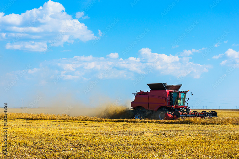 Combine harvesting wheat Combine harvesting wheat