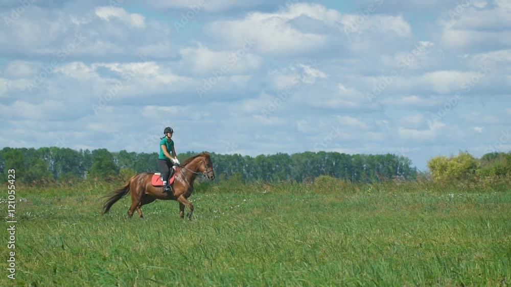 Beautiful girl riding a horse in countryside. Trot Beautiful girl riding a horse in countryside. Trot