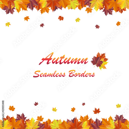 Bright autumn background – seamless vivid autumn maple leaves borders on white background. Vector illustration.