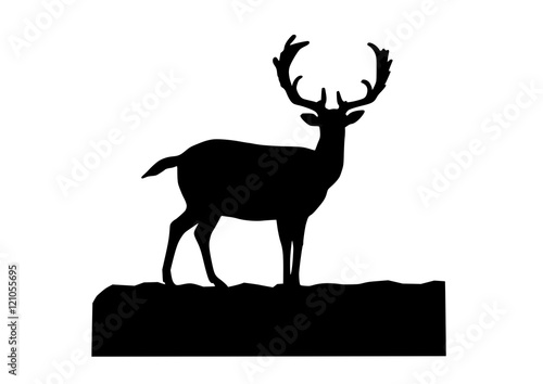 fallow deer silhouette on white background