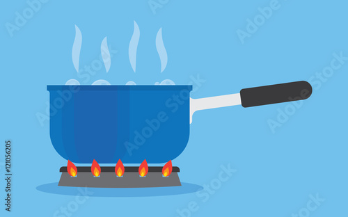 Boiling water in pan on stove in the kitchen