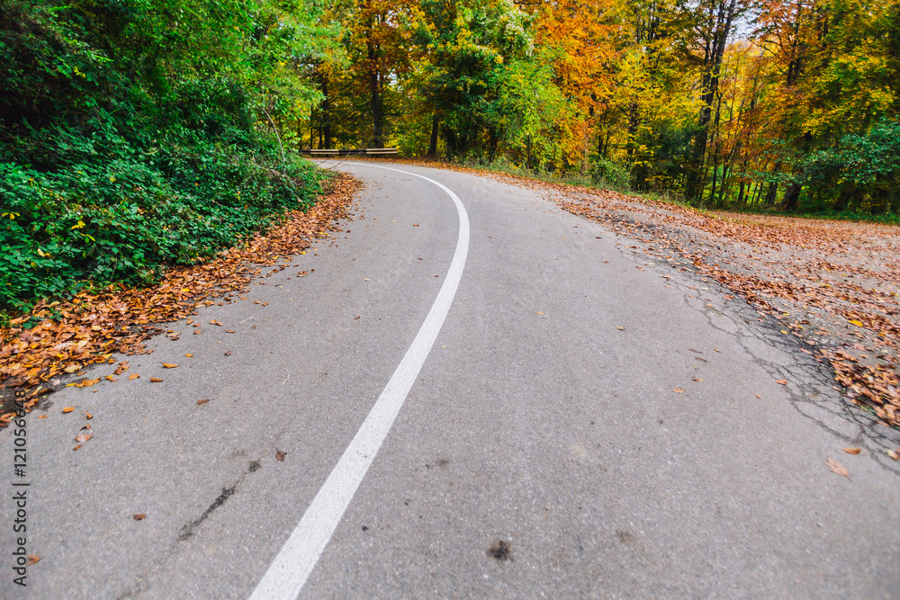 Obraz premium Empty autumn road