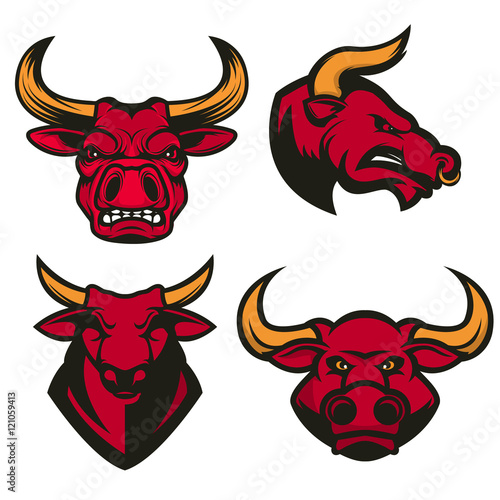 Set of bull heads isolated on white background. Design element f