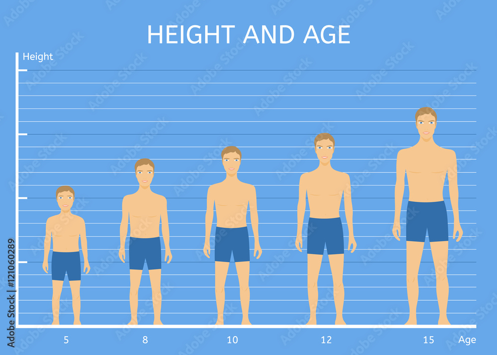 Height and age boys. The average height of children of different ages Stock  Vector | Adobe Stock
