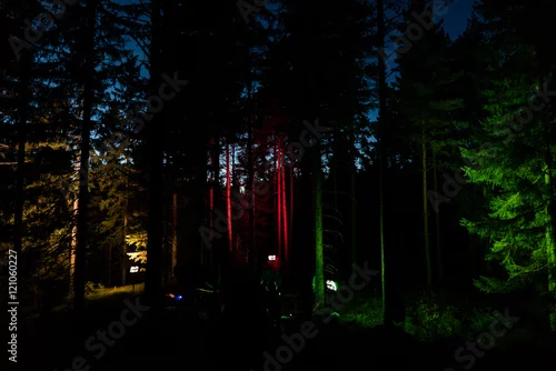 Fototapeta na wymiar Forest Party