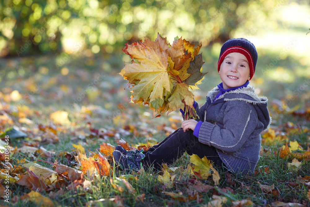 Cute boy sitting in the park with a bouquet of autumn leaves in their hands.