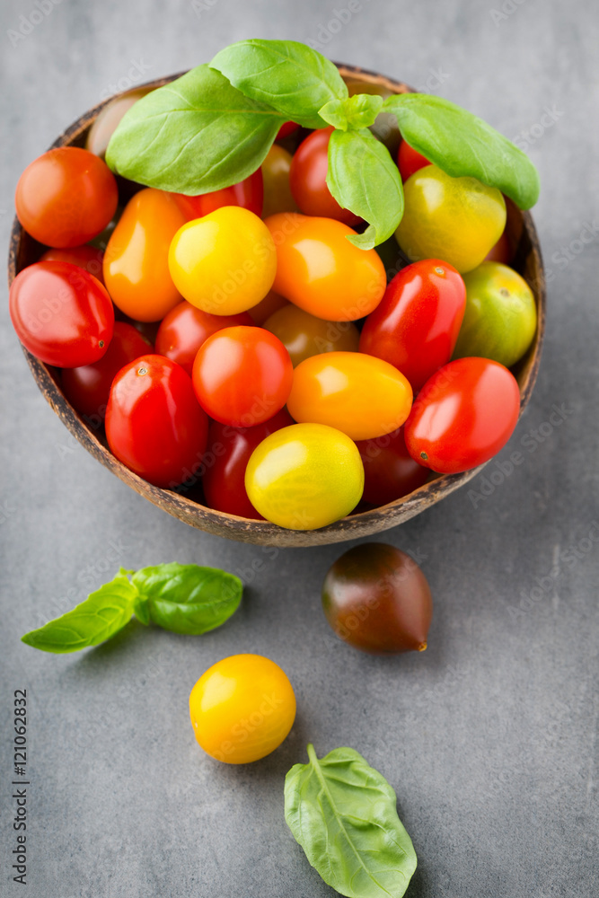 Tomatoes an gray background. Colorful tomatoes, red tomatoes, ye Tomatoes an gray background. Colorful tomatoes, red tomatoes, ye