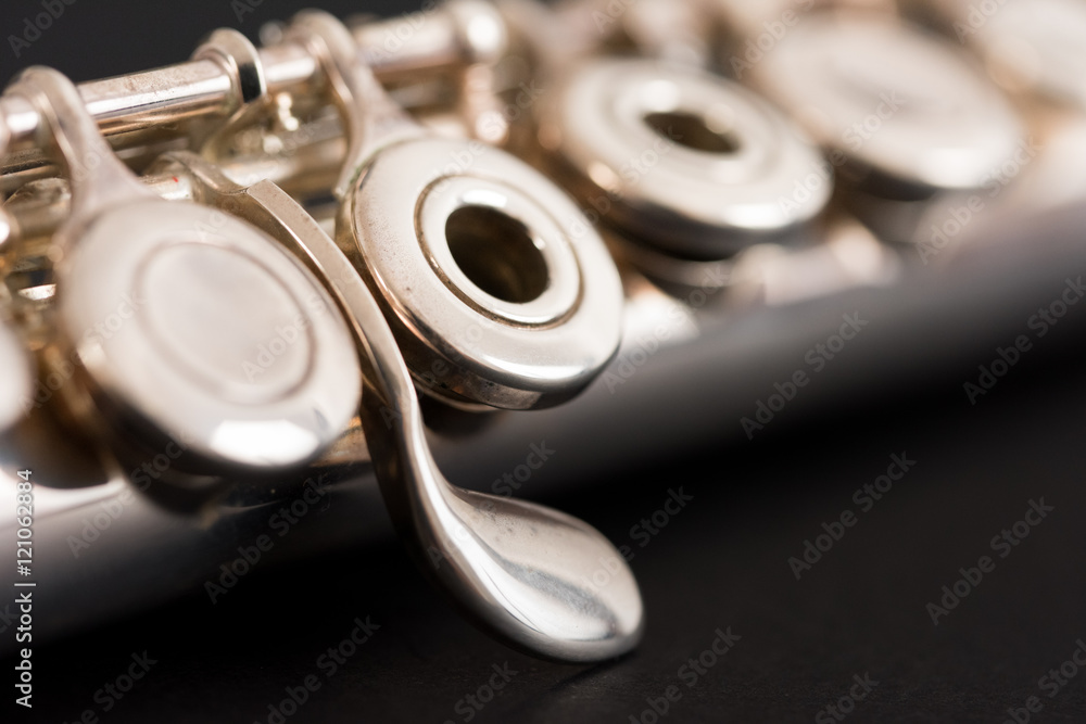 Fototapeta premium Macro a flauta travesera.