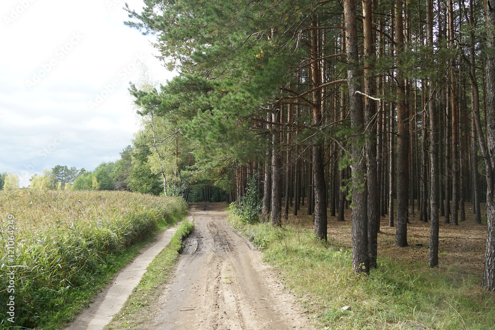 Fototapeta premium dirt road