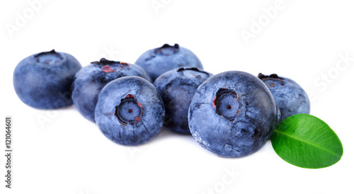 Blueberry fresh blueberries on white