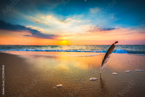 Fototapeta Naklejka Na Ścianę i Meble -  Beautiful sunrise over the sea and gull feather stuck into the s