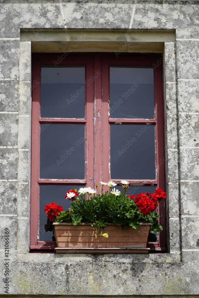 jardinière de fenêtre