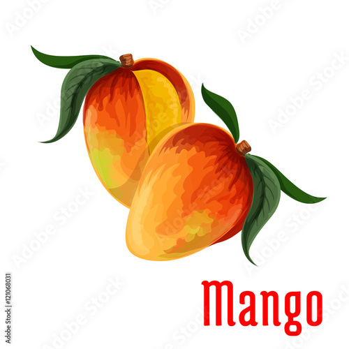 Mango fruit icon for food, juice packaging design