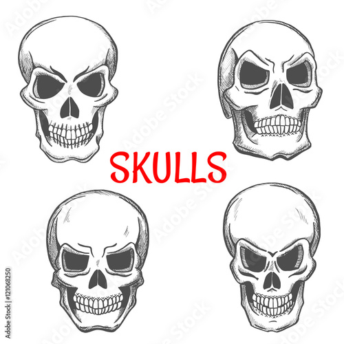 Skulls and skeleton craniums sketch icons