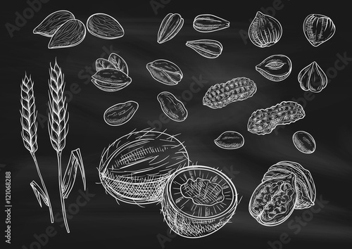Nuts, grain chalk sketch icons on blackboard