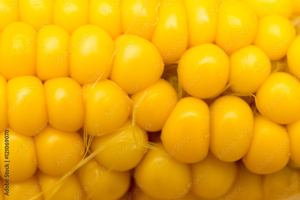 yellow corn as a background. macro yellow corn as a background. macro
