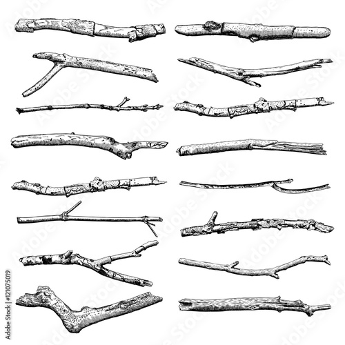 Set of Driftwood, ground floor hand drawn ink rustic design elements collection. Dry tree branches and wooden twigs. Vintage highly detailed classic ink drawings bundle art in engraved style. Vector.