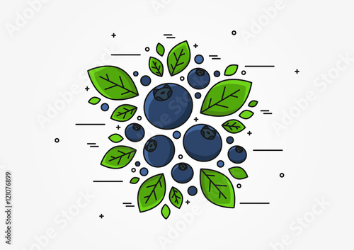 Blueberry line art vector concept