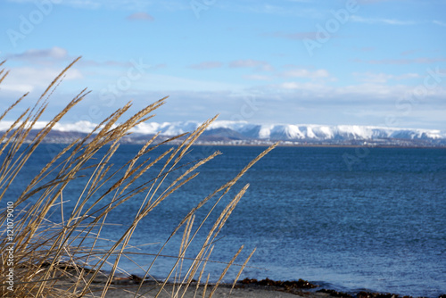 Beautiful coast with snow mountain background at Reykjavik City