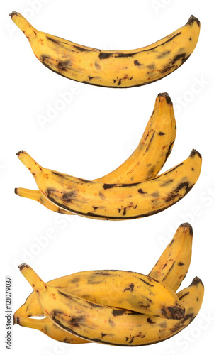 a plantain banana photo