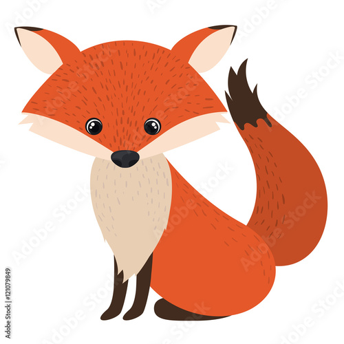 Fox cartoon icon. Forest animal theme. Isolated design. Vector illustration