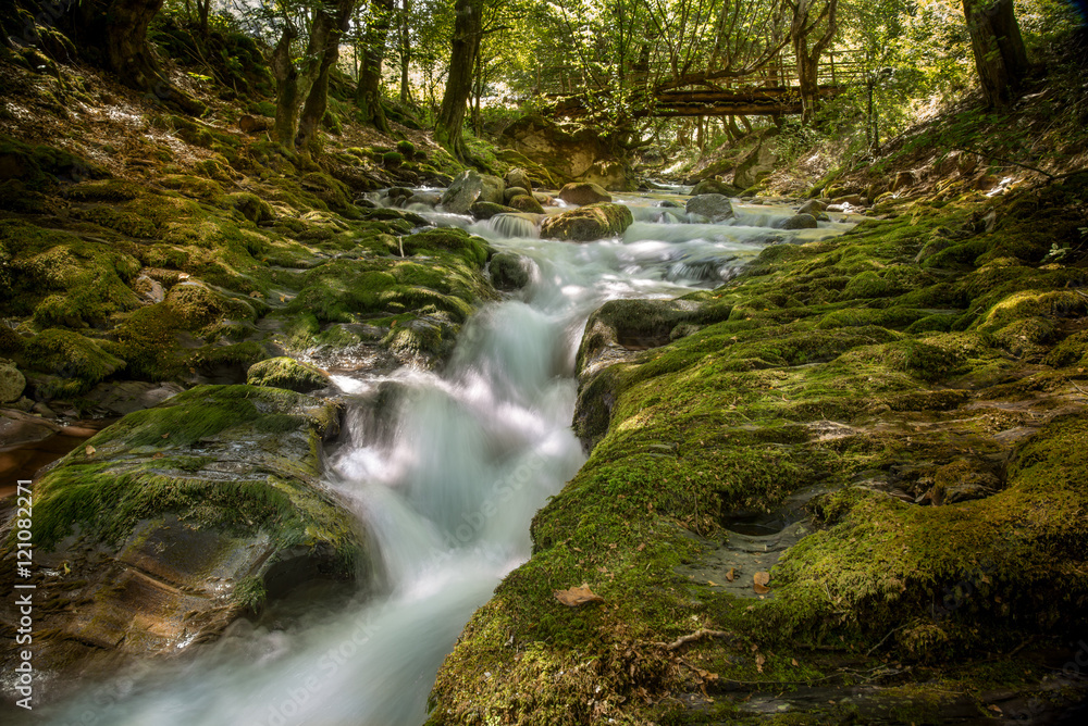 Mountain river in forest.