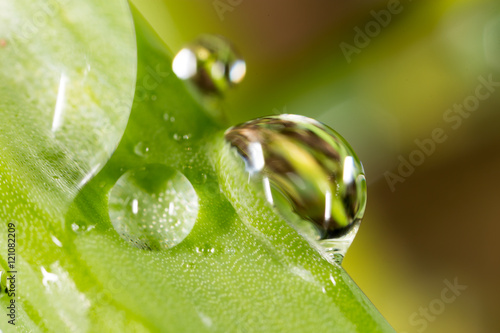 drops of dew on the grass. macro photo