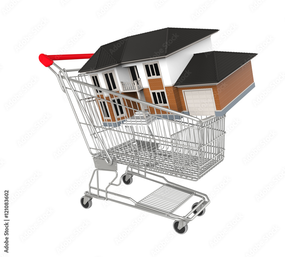 Shopping Cart with House