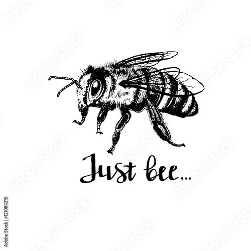 Bee with letters.