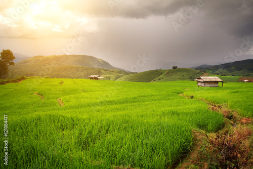 Nature background of the rice terraces(paddy field) at Mae-Jam Village , Chaingmai Province, during time the rains