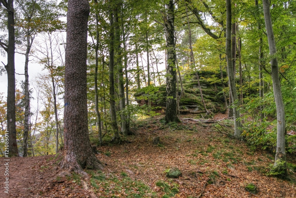 Fototapeta premium Rocher en grès dans la forêt