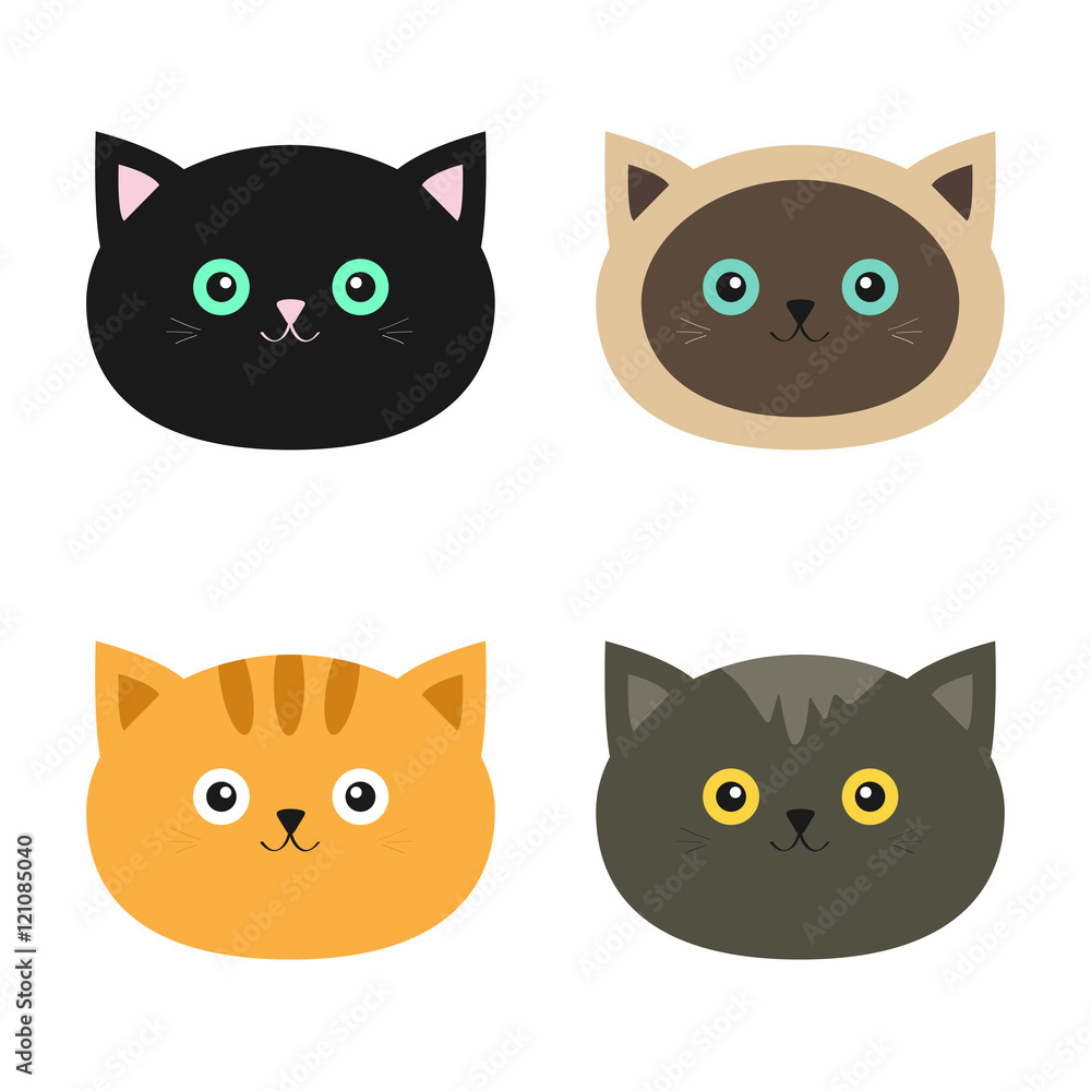 Cat head set. Siamese, red, black, orange, gray color cats in flat design style. Cute cartoon character. Different eyes. White background. Isolated.