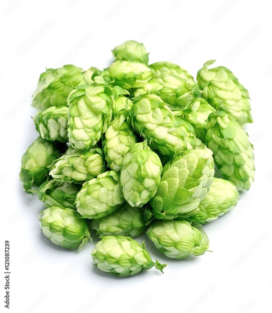 Blossoming hop Blossoming hop
