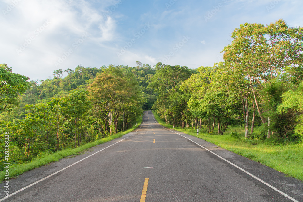 Fototapeta premium Summer country road,Curving road between fields and trees,Asphalt road and forest