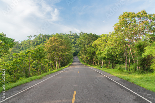 Summer country road,Curving road between fields and trees,Asphalt road and forest