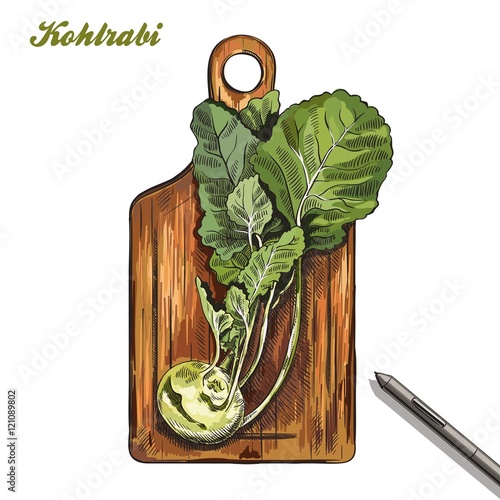 kohlrabi on a cutting board. harvesting. colored illustration.