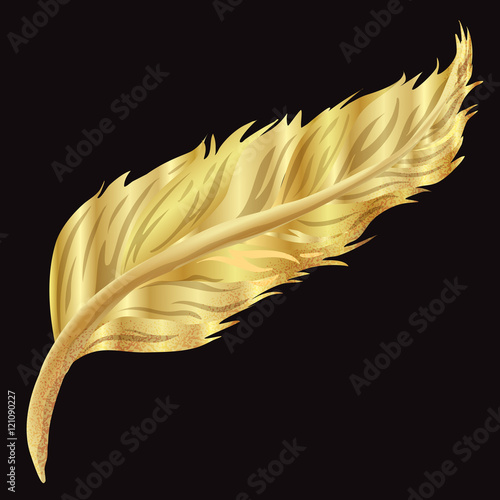 Golden feather on black screen