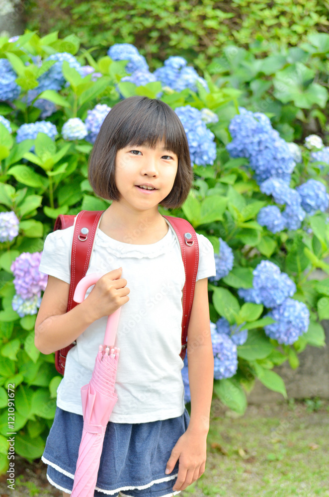 アジサイと小学生の女の子
