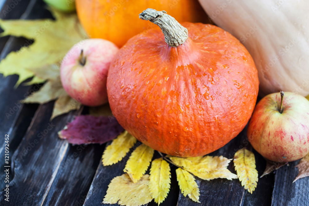 Fresh autumn pumpkins