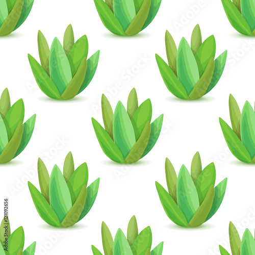 Agave - seamless pattern with desert plants. Nature floral background with green succulent leaf. Wallpaper with plantation of aloe. Vector illustration